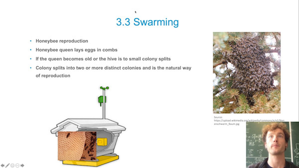 We4bee: Earthquake Research with Bees