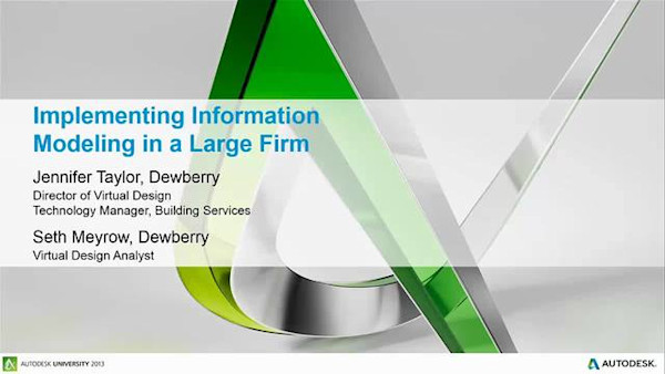 Implementing Information Modeling in a Large Firm