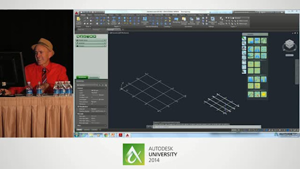 Customizing Advance Steel for Local Markets