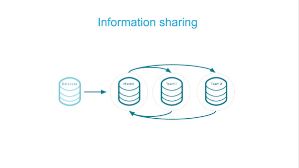 Scaling BIM Process in Light-Speed Projects