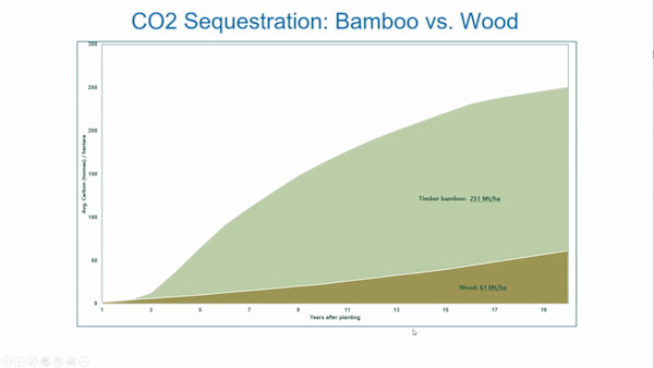 Sustainable Construction Solutions That Reduce Time, Labor, and Cost