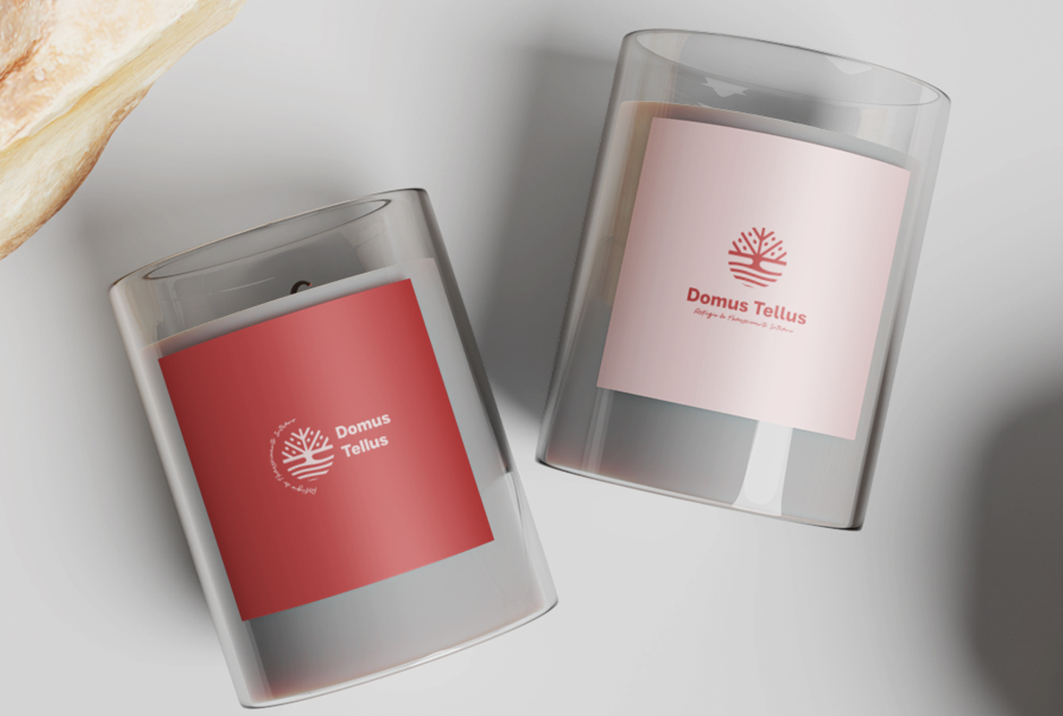 Projeto de Identidade Visual | Domus Tellus