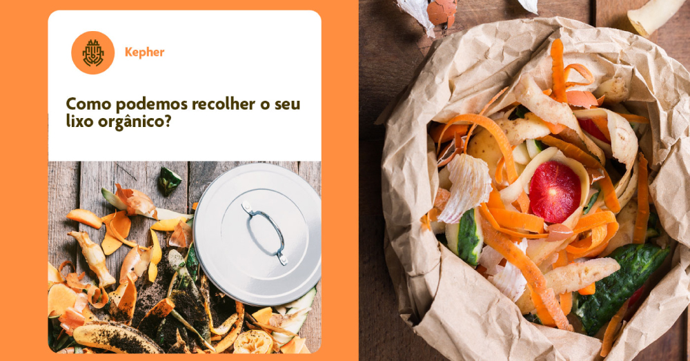 identidade visual - logotipo - marca - branding