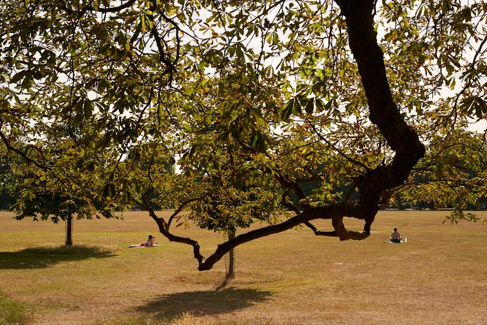 Among Red & Amber & Green