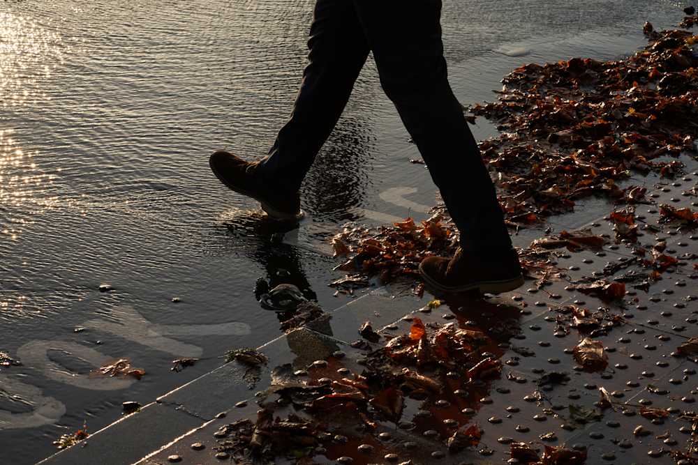 Among Red & Amber & Green