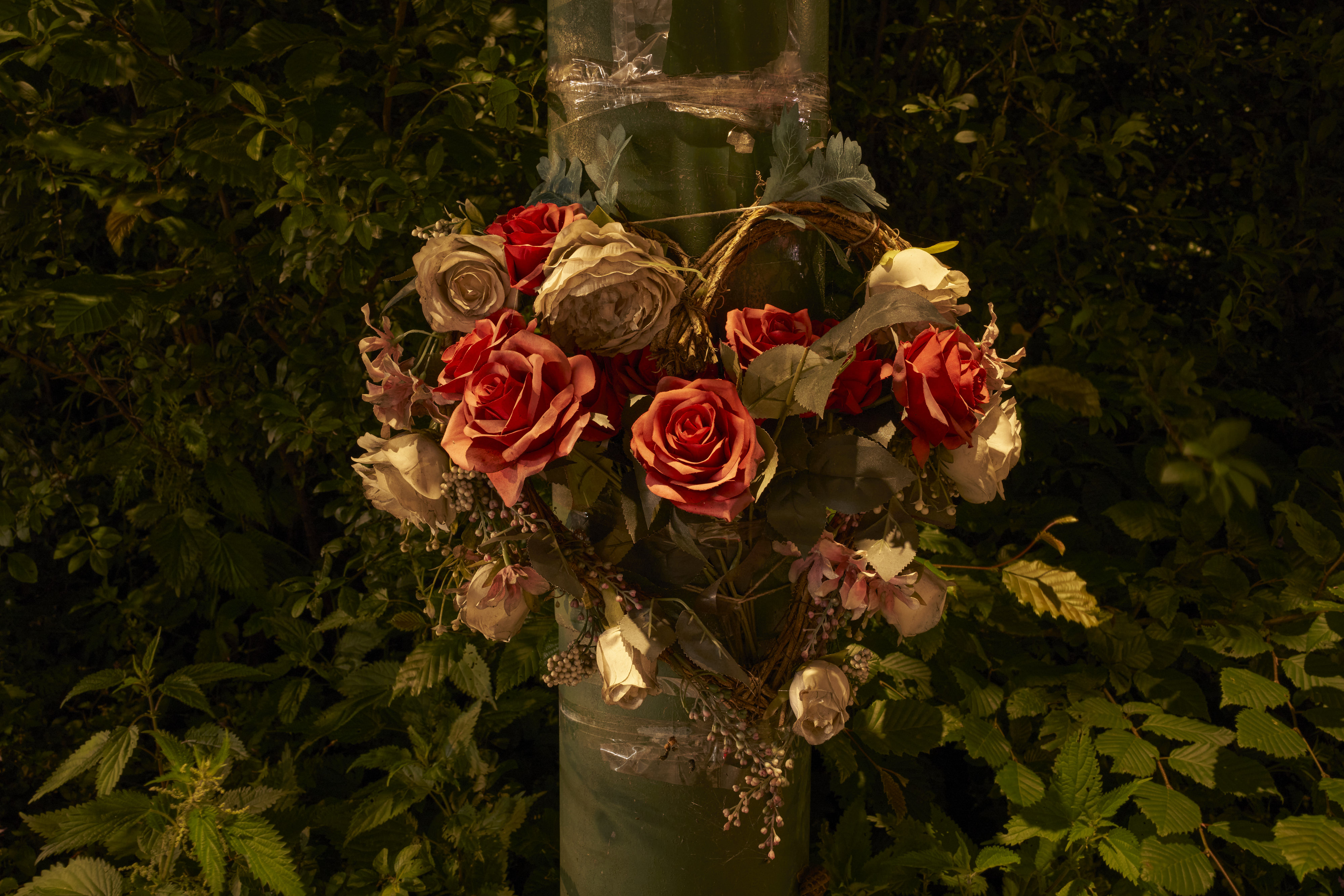 Among Red & Amber & Green