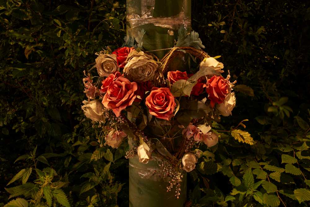 Among Red & Amber & Green