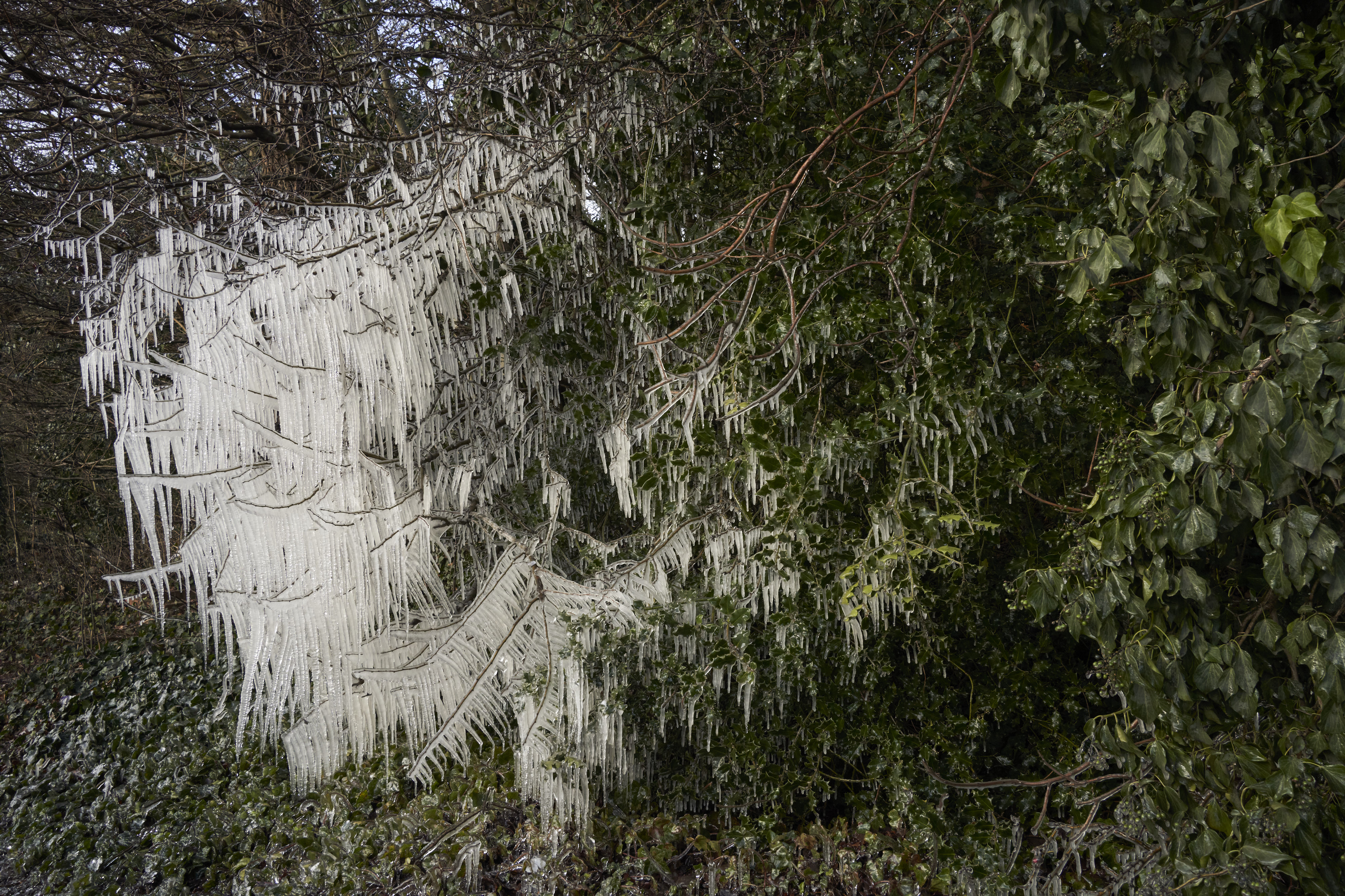 Among Red & Amber & Green