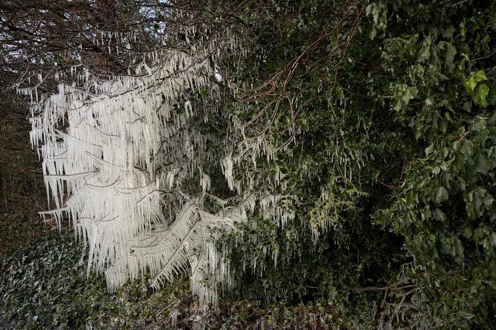 Among Red & Amber & Green