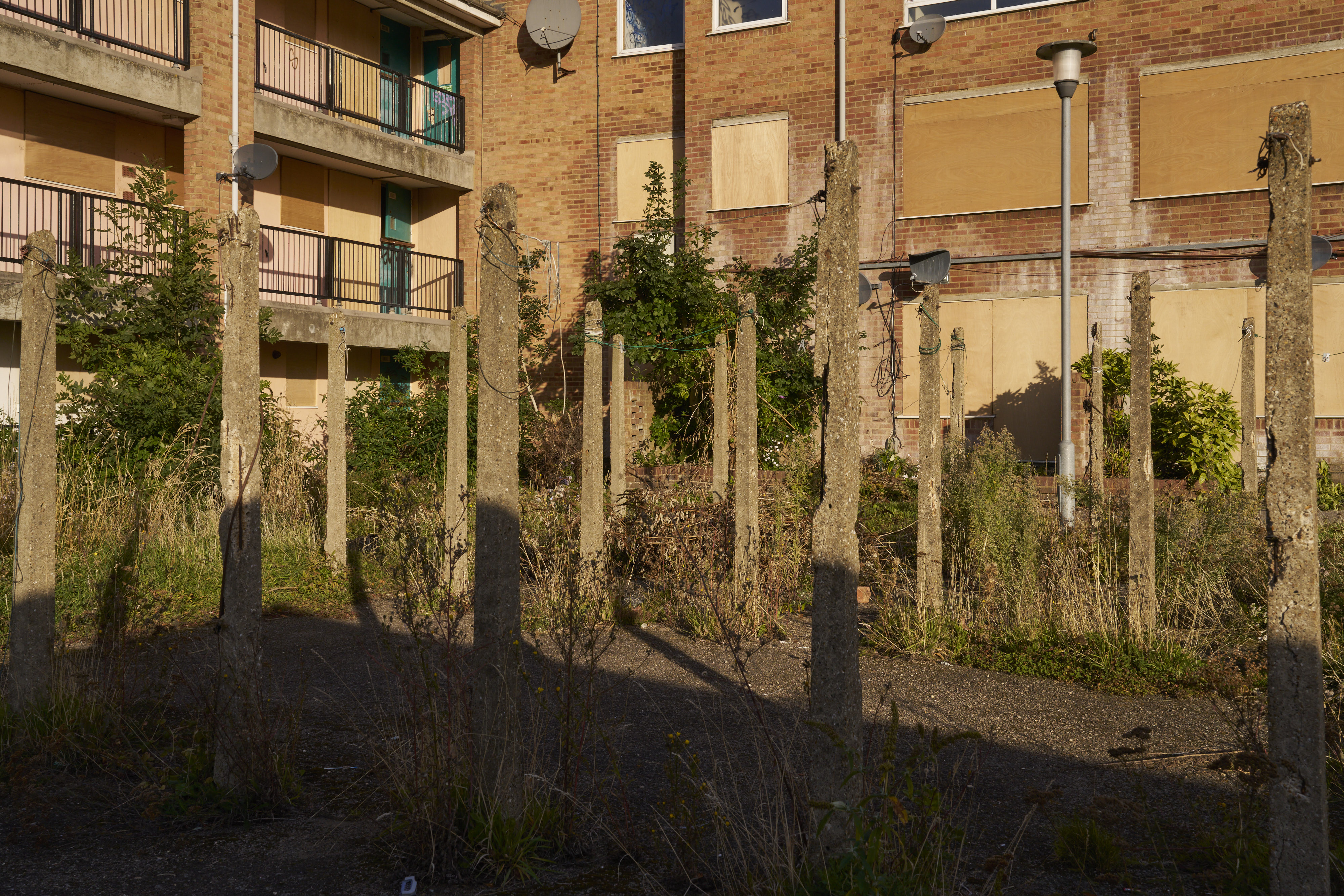 Among Red & Amber & Green