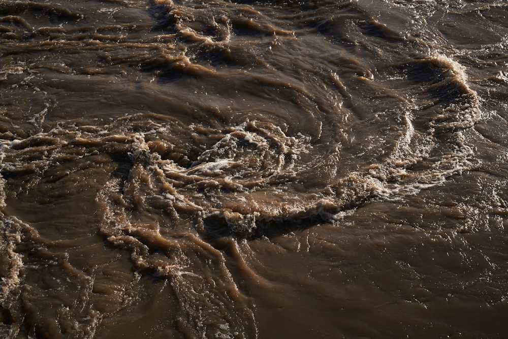 Among Red & Amber & Green