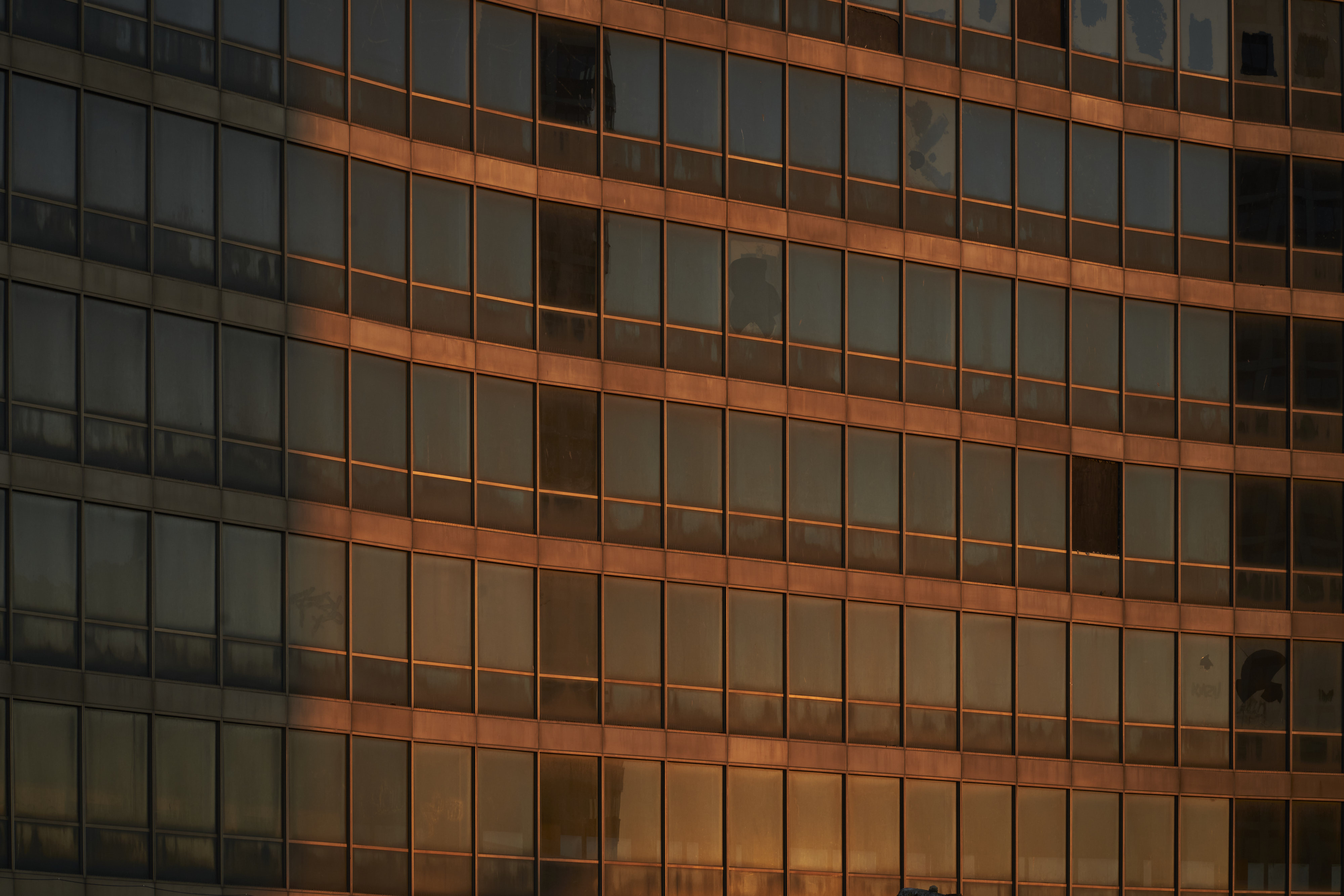 Among Red & Amber & Green