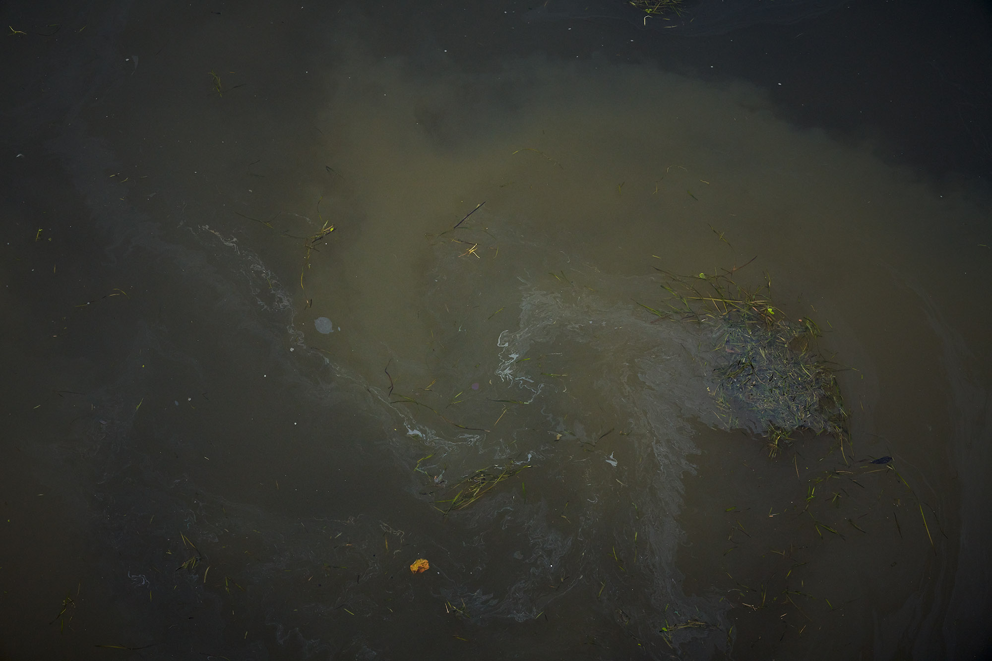 Interregnum 03.20-03.21