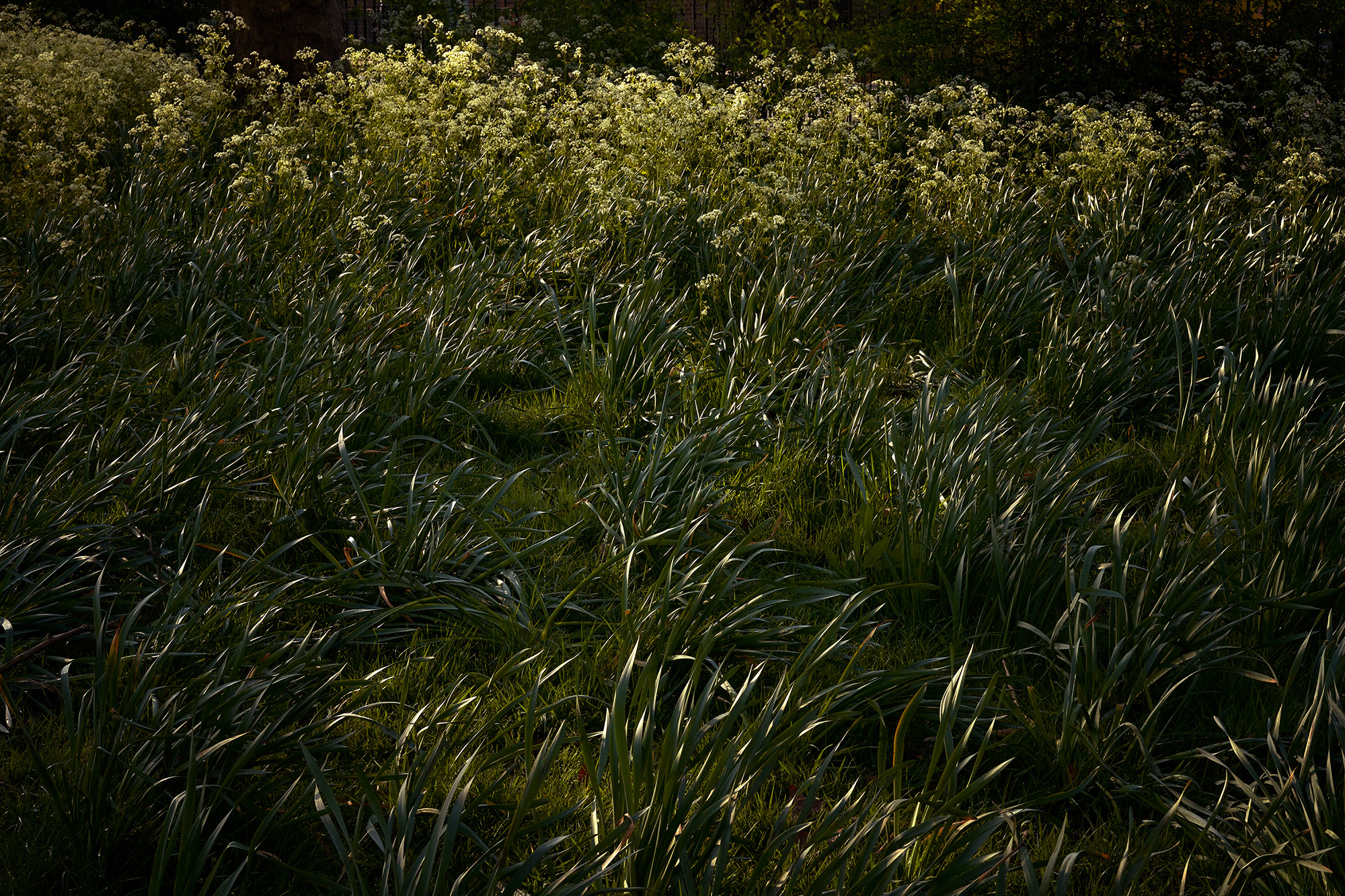 Interregnum 03.20-03.21