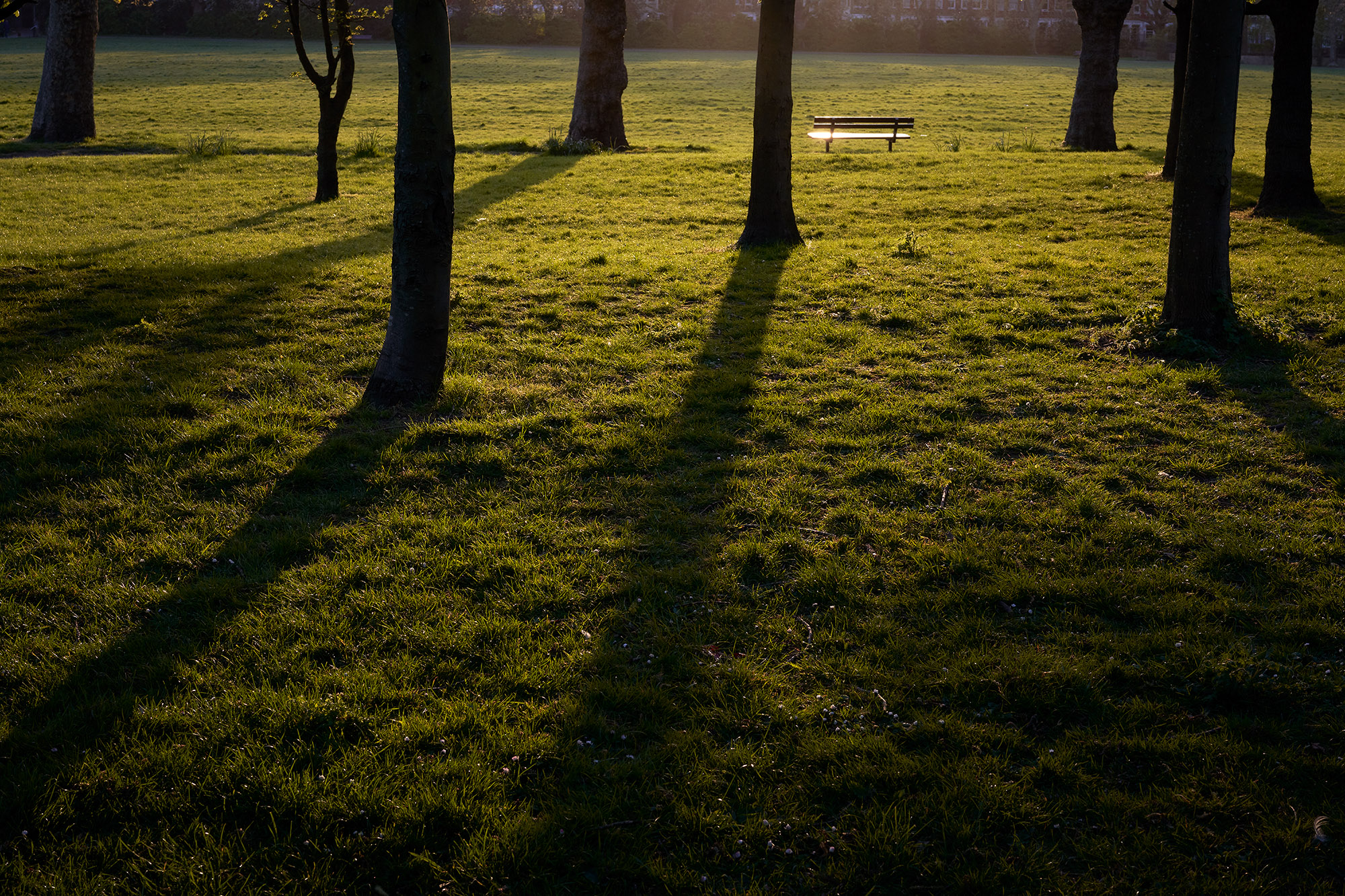 Interregnum 03.20-03.21