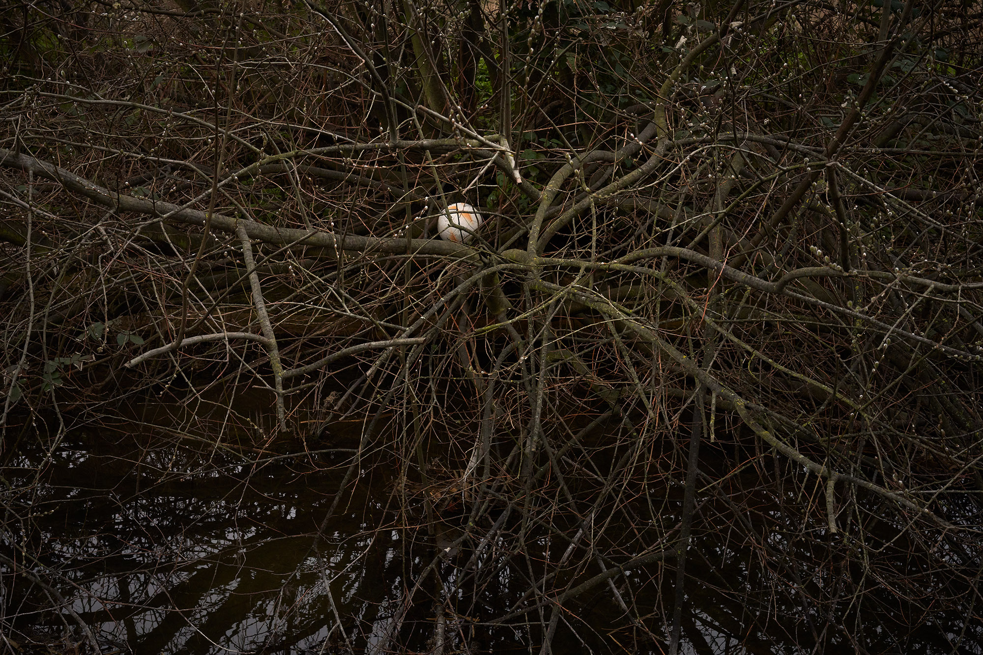 Interregnum 03.20-03.21