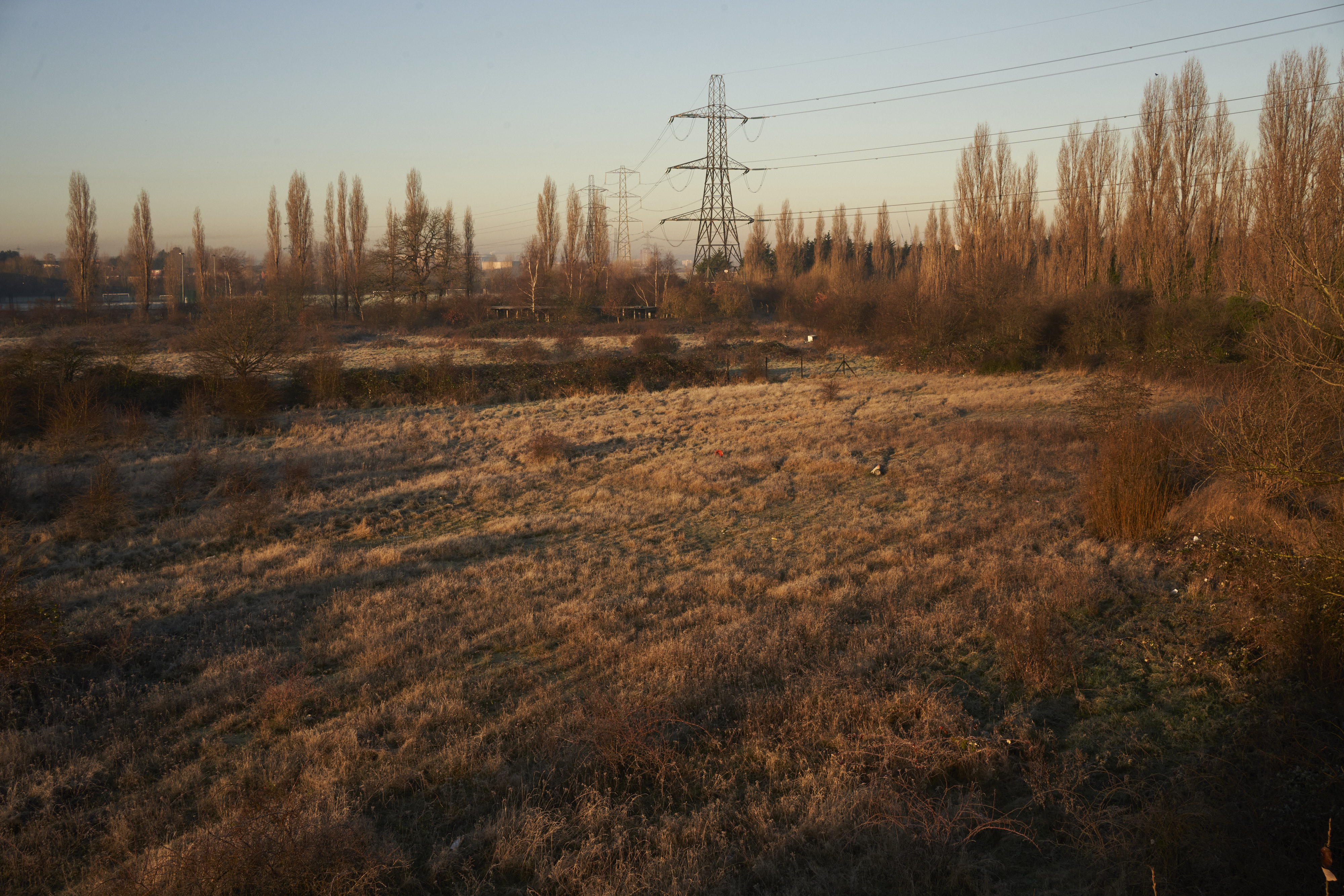 Among Red & Amber & Green