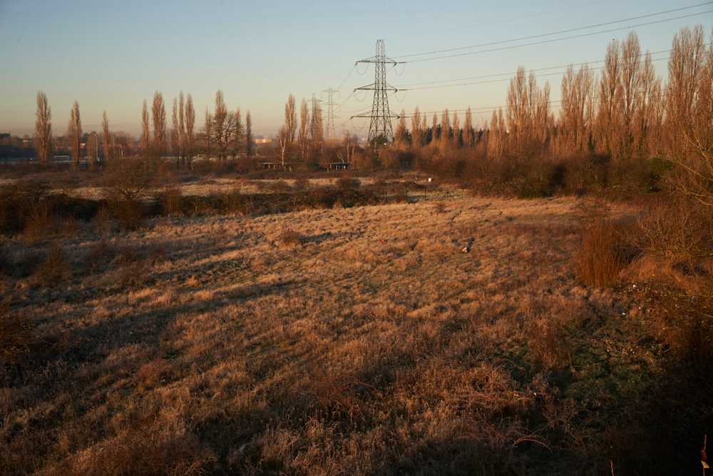 Among Red & Amber & Green