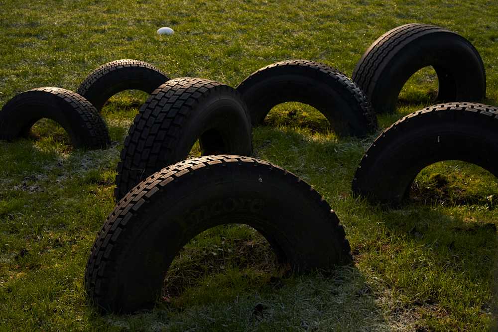 Among Red & Amber & Green