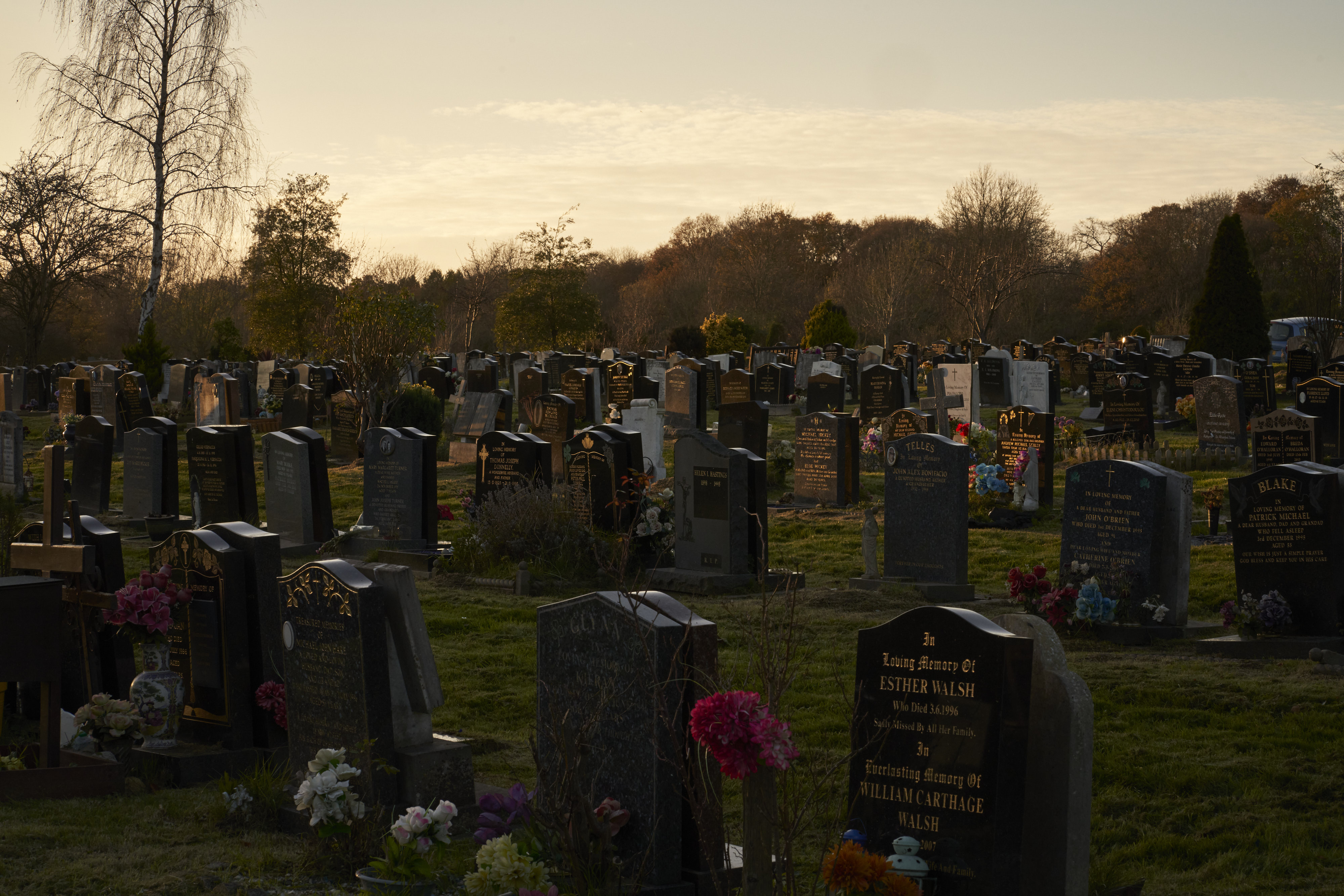 Among Red & Amber & Green