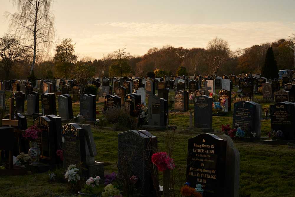 Among Red & Amber & Green