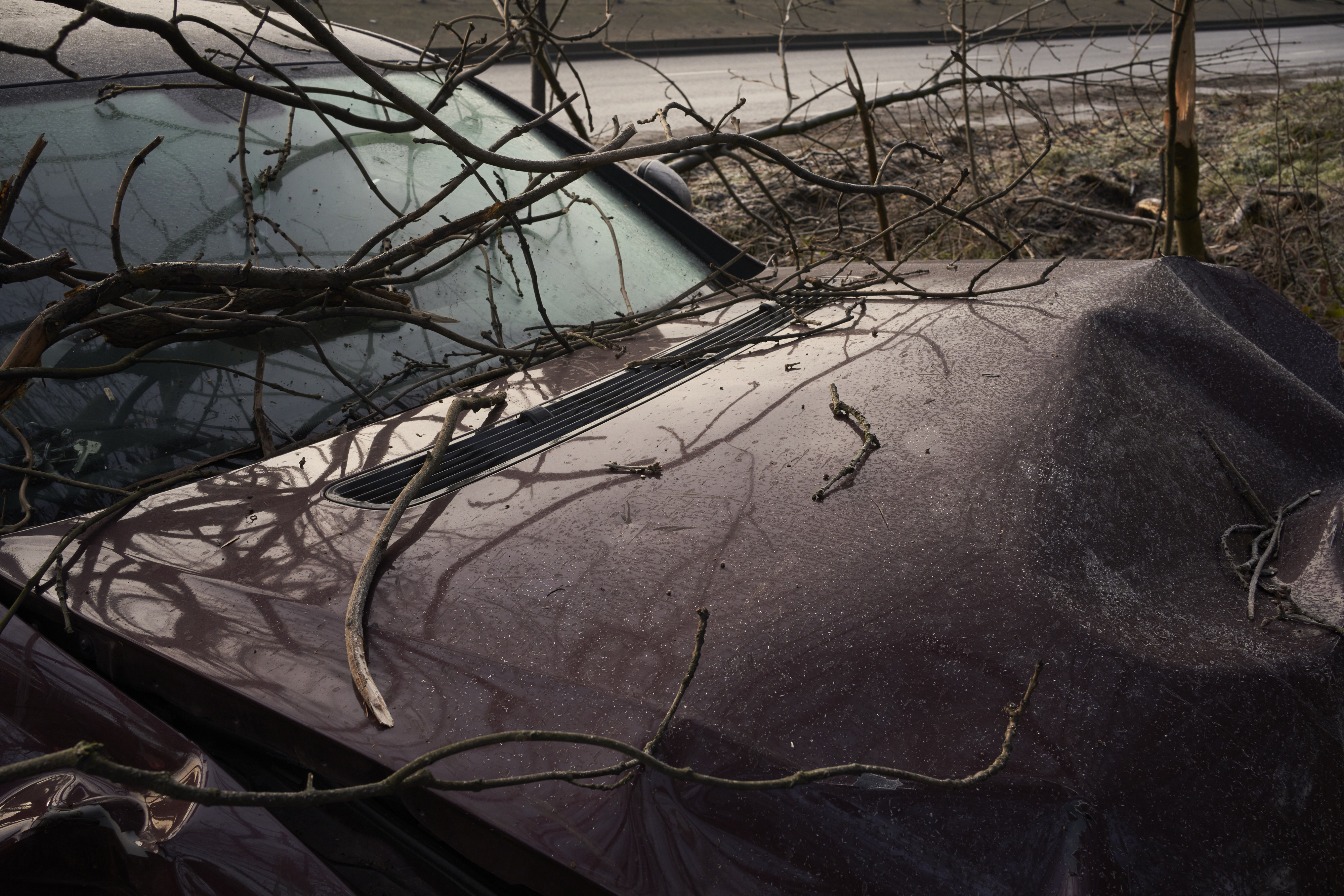 Among Red & Amber & Green