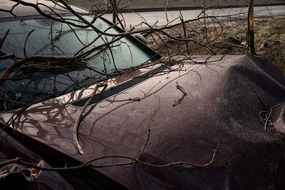 Among Red & Amber & Green