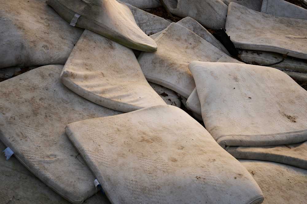 Among Red & Amber & Green