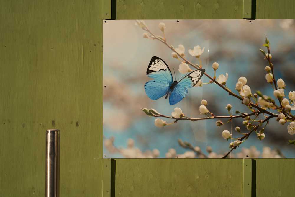 Among Red & Amber & Green