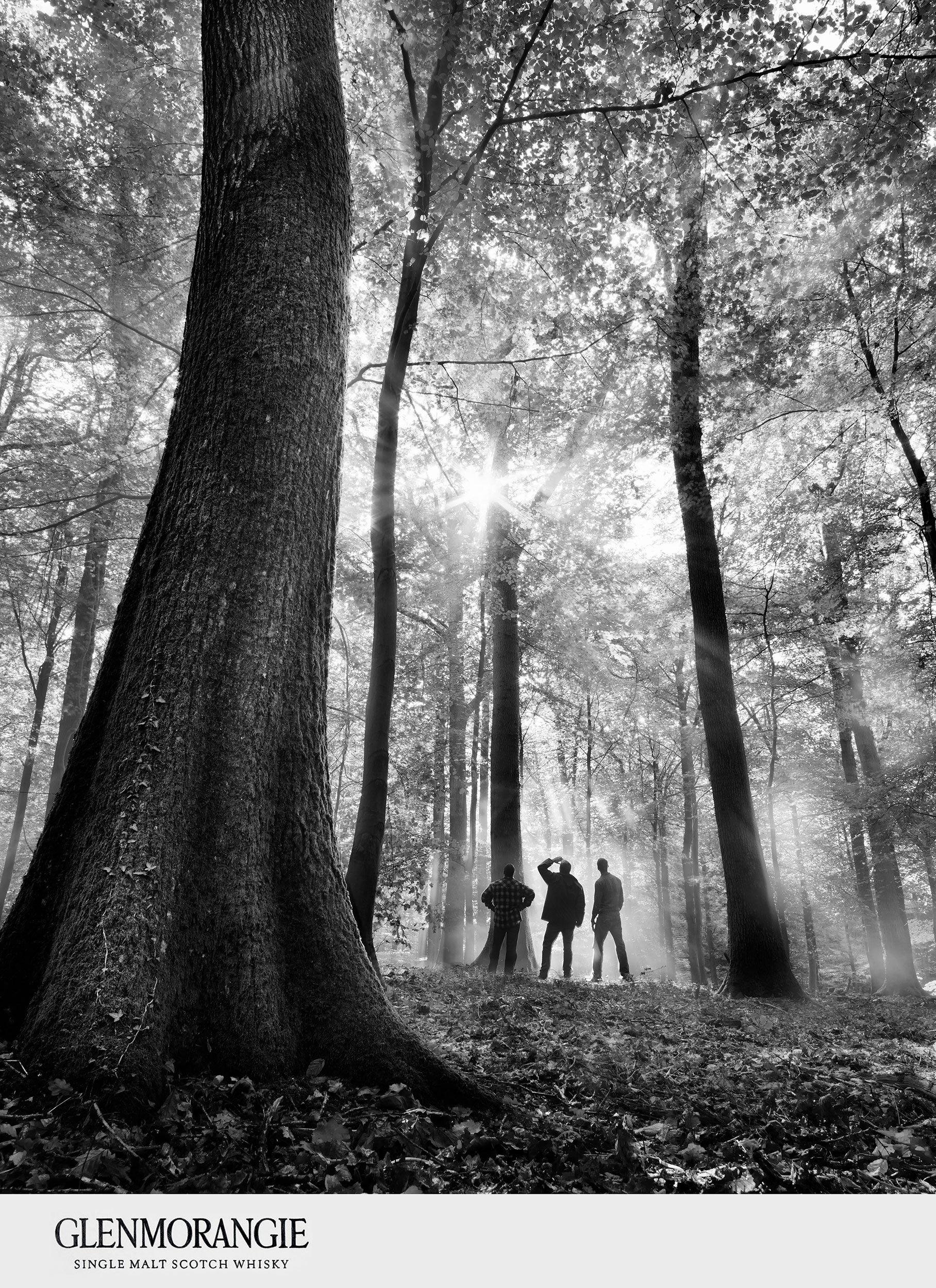 Glenmorangie