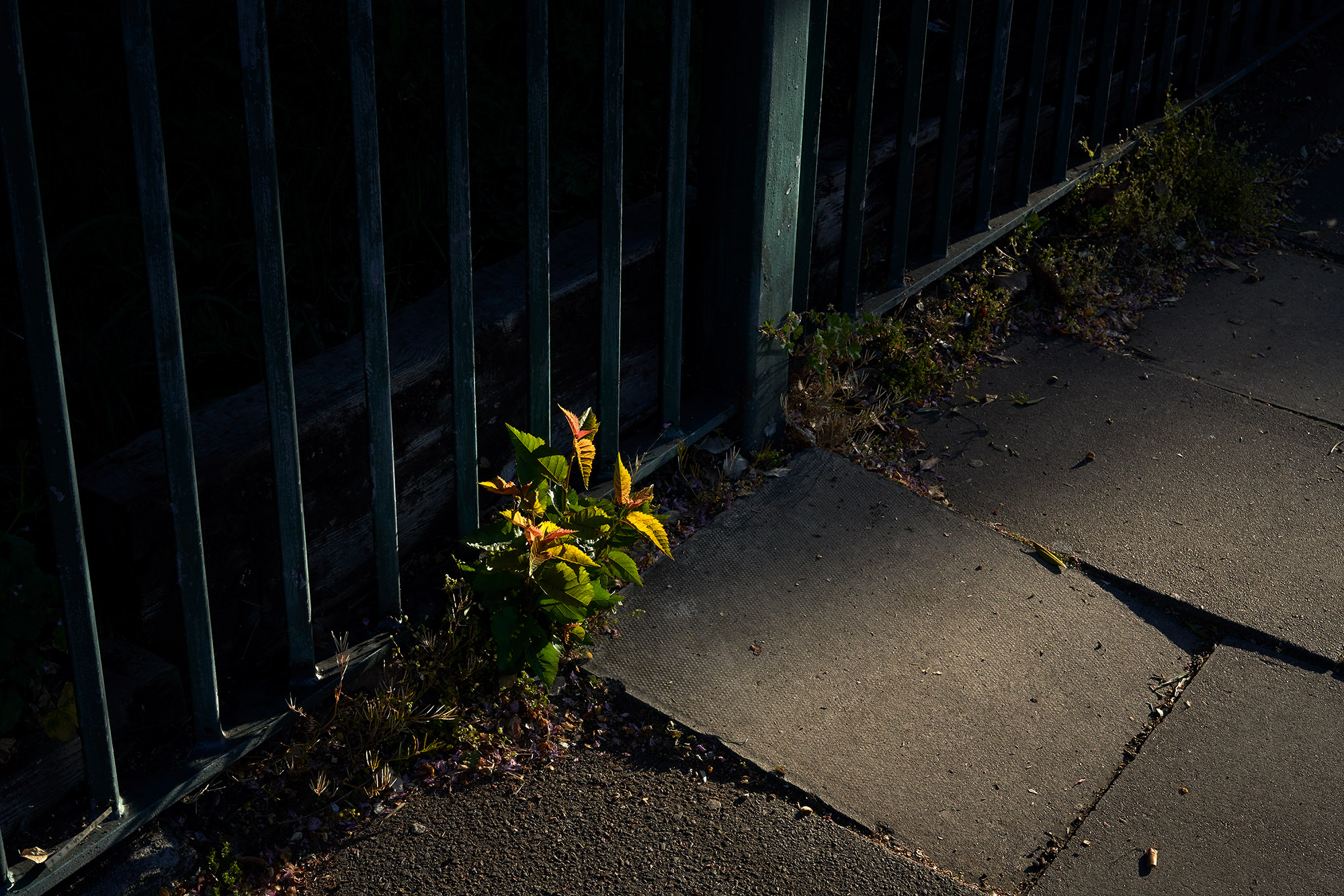 Interregnum 03.20-03.21