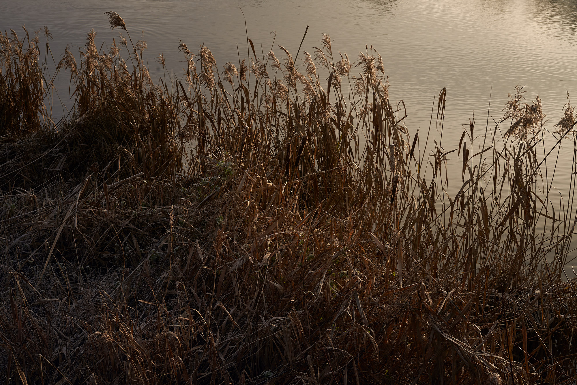 Interregnum 03.20-03.21