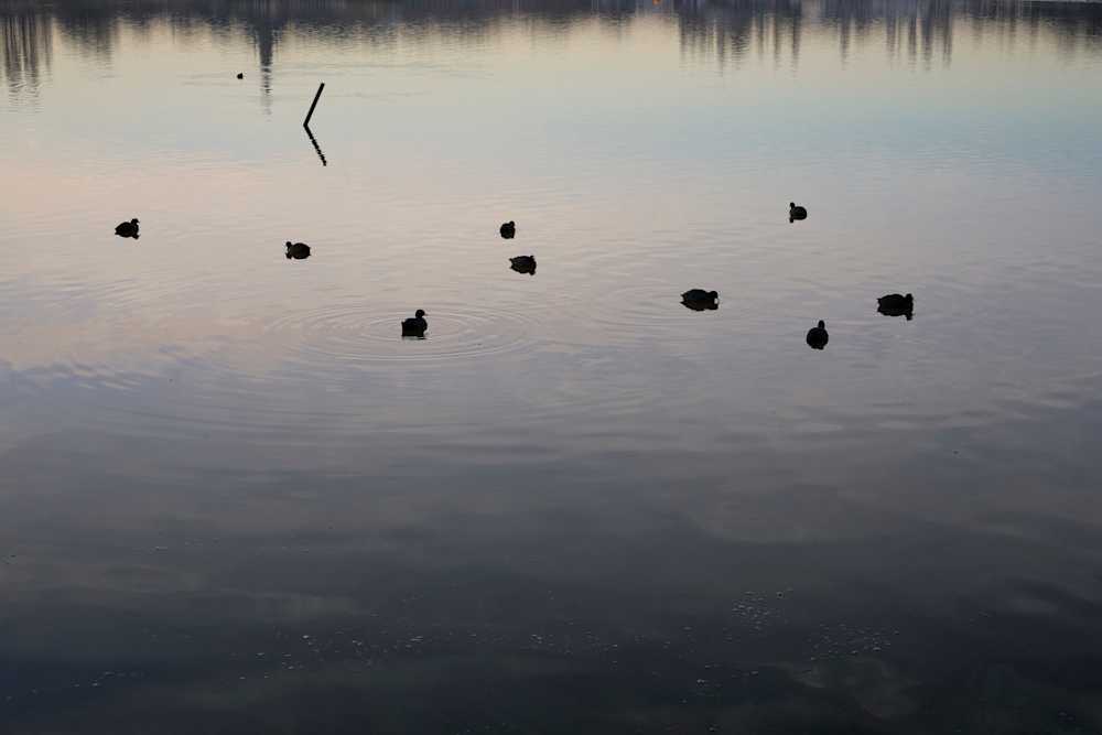 Among Red & Amber & Green