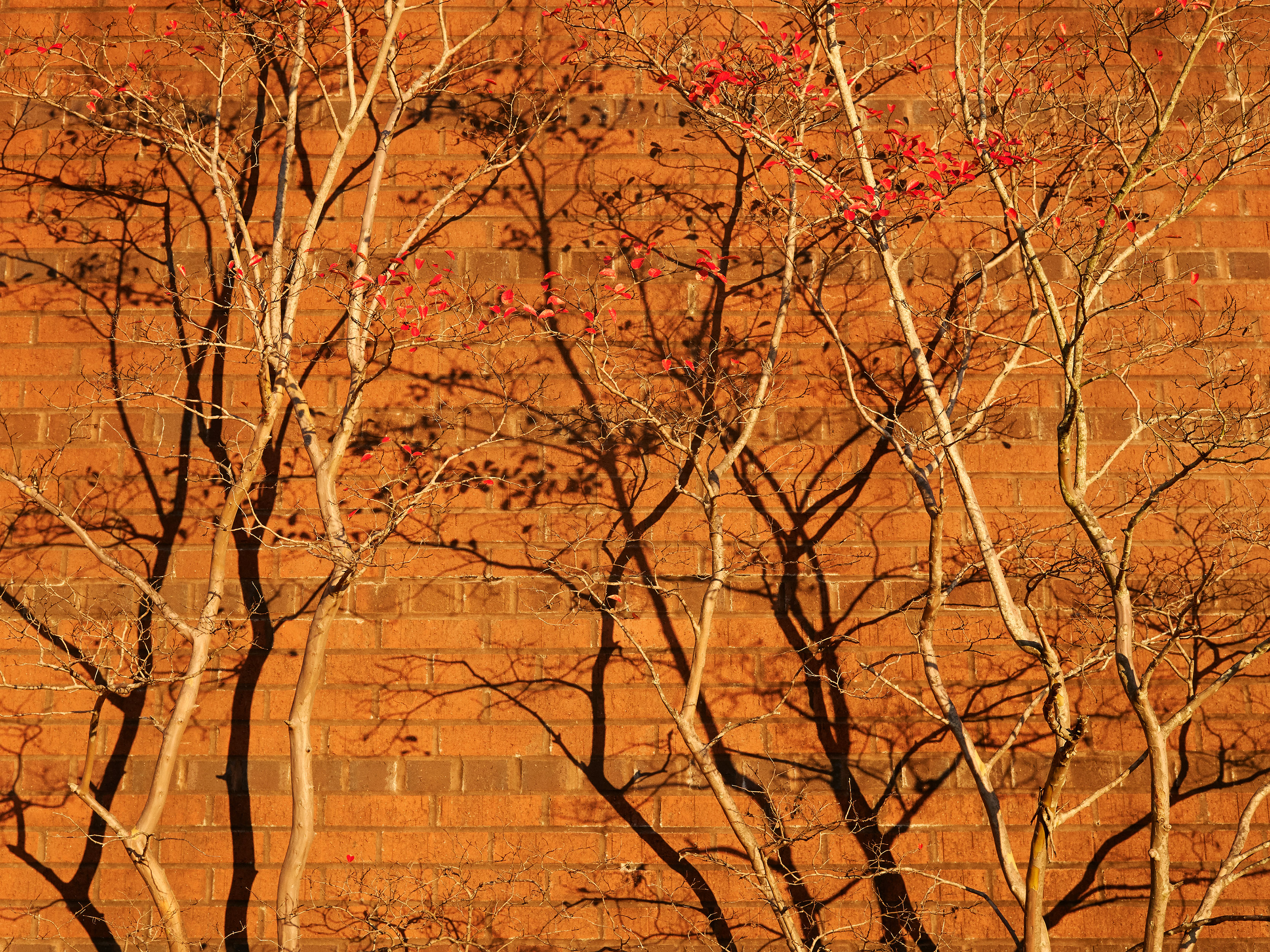 Talking to strangers