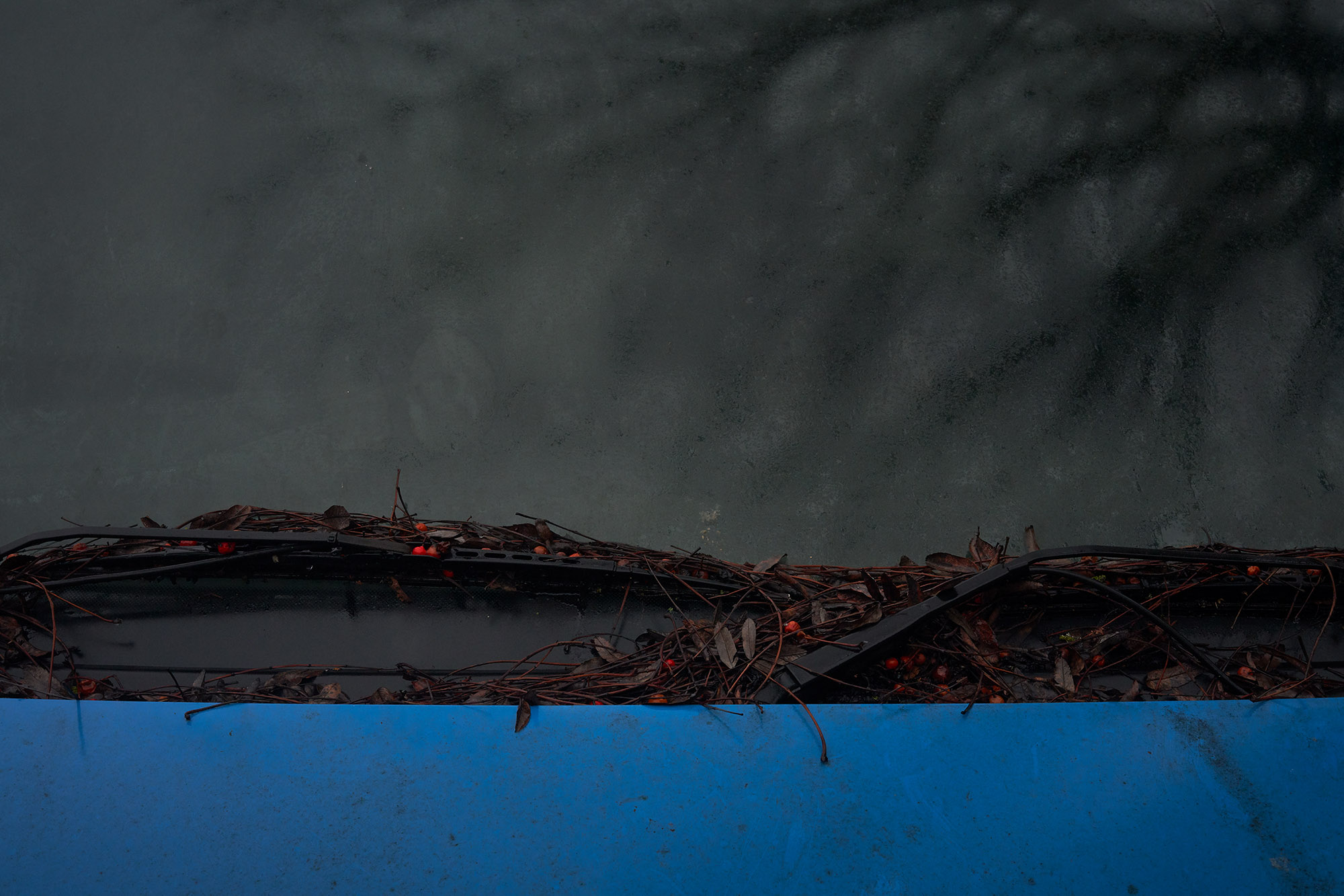 Interregnum 03.20-03.21