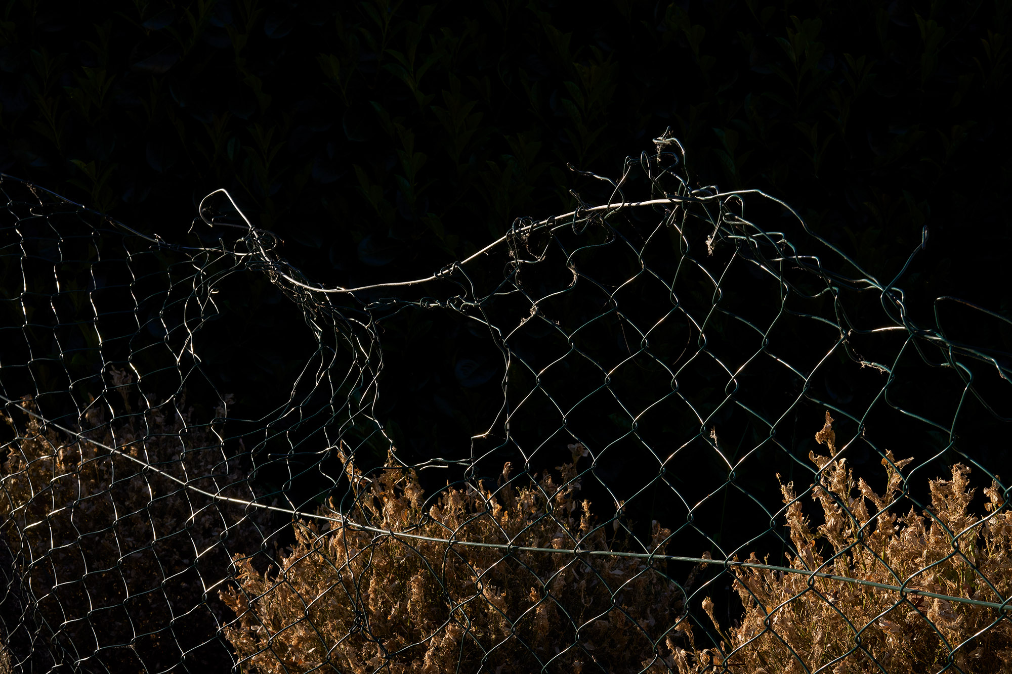 Interregnum 03.20-03.21