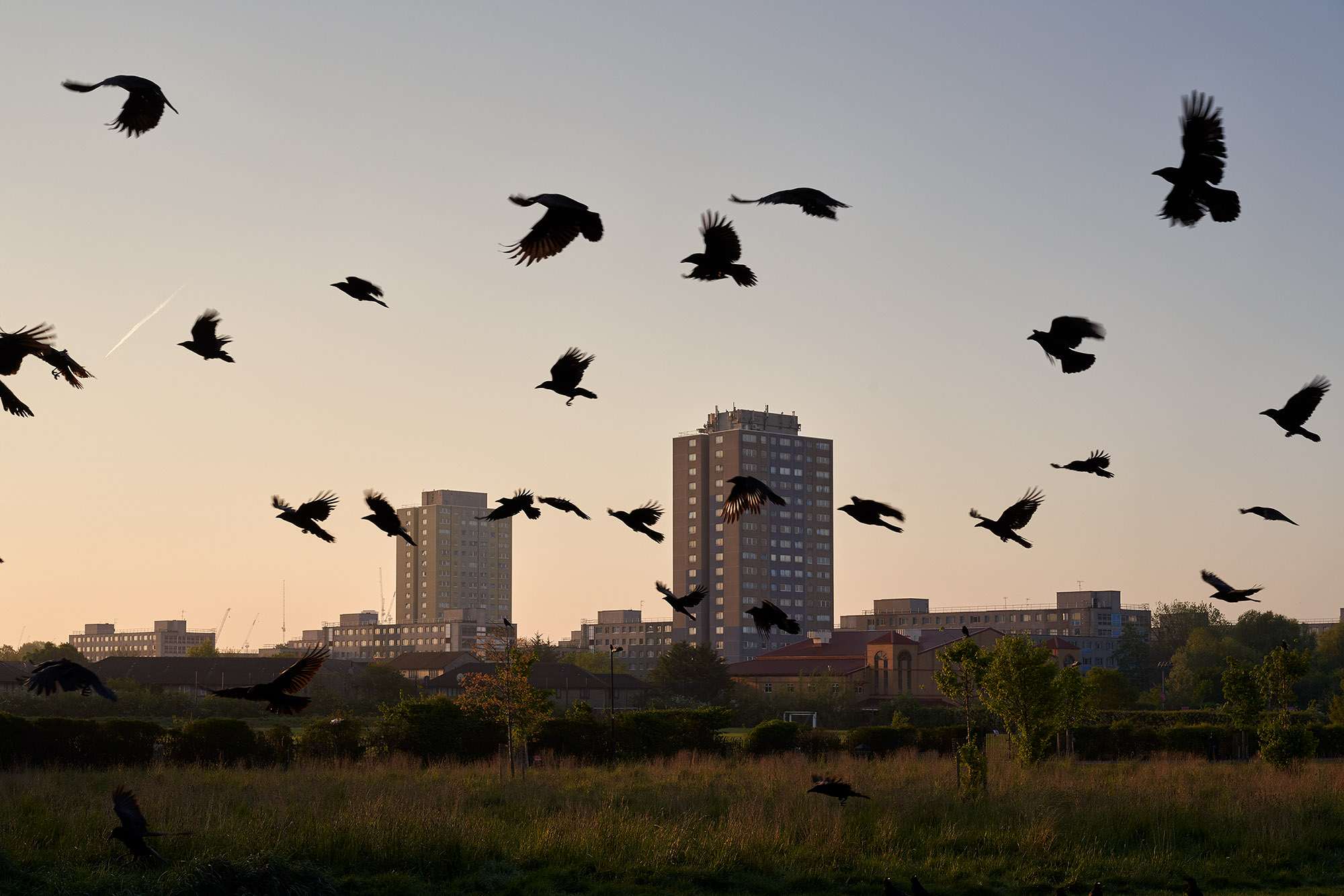 Interregnum 03.20-03.21