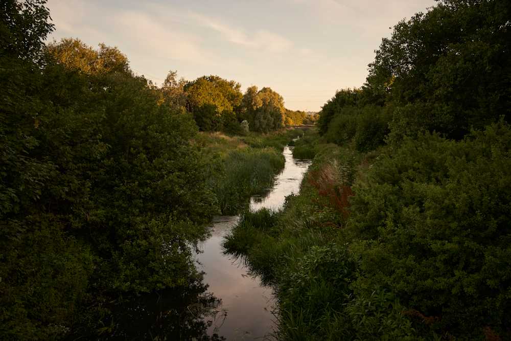 Among Red & Amber & Green