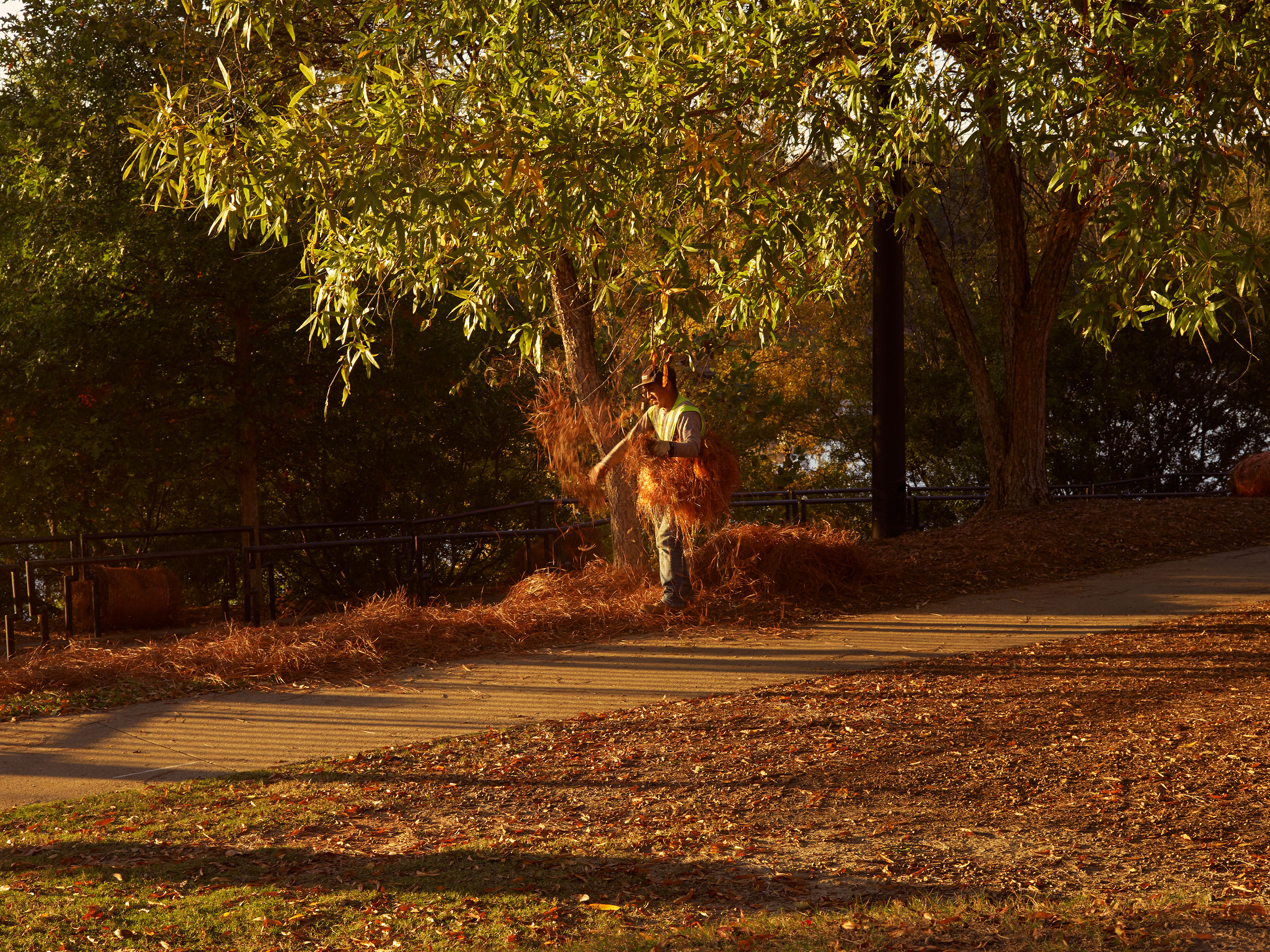 Talking to strangers