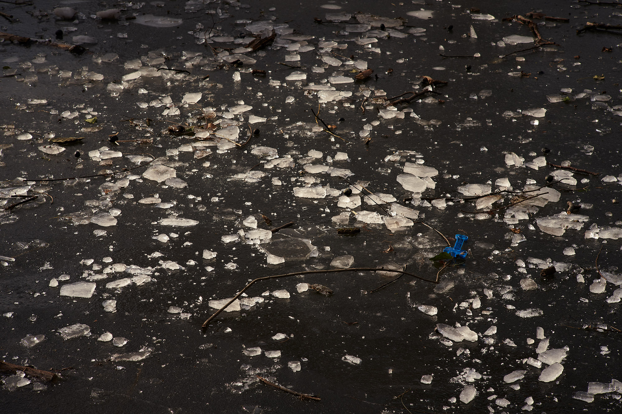 Interregnum 03.20-03.21