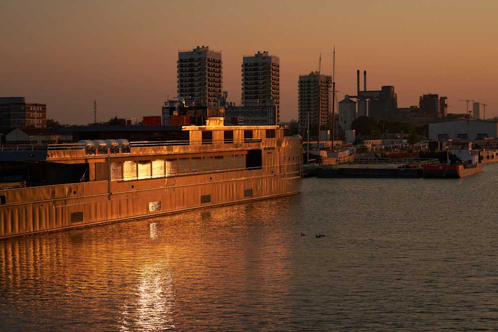 Among Red & Amber & Green