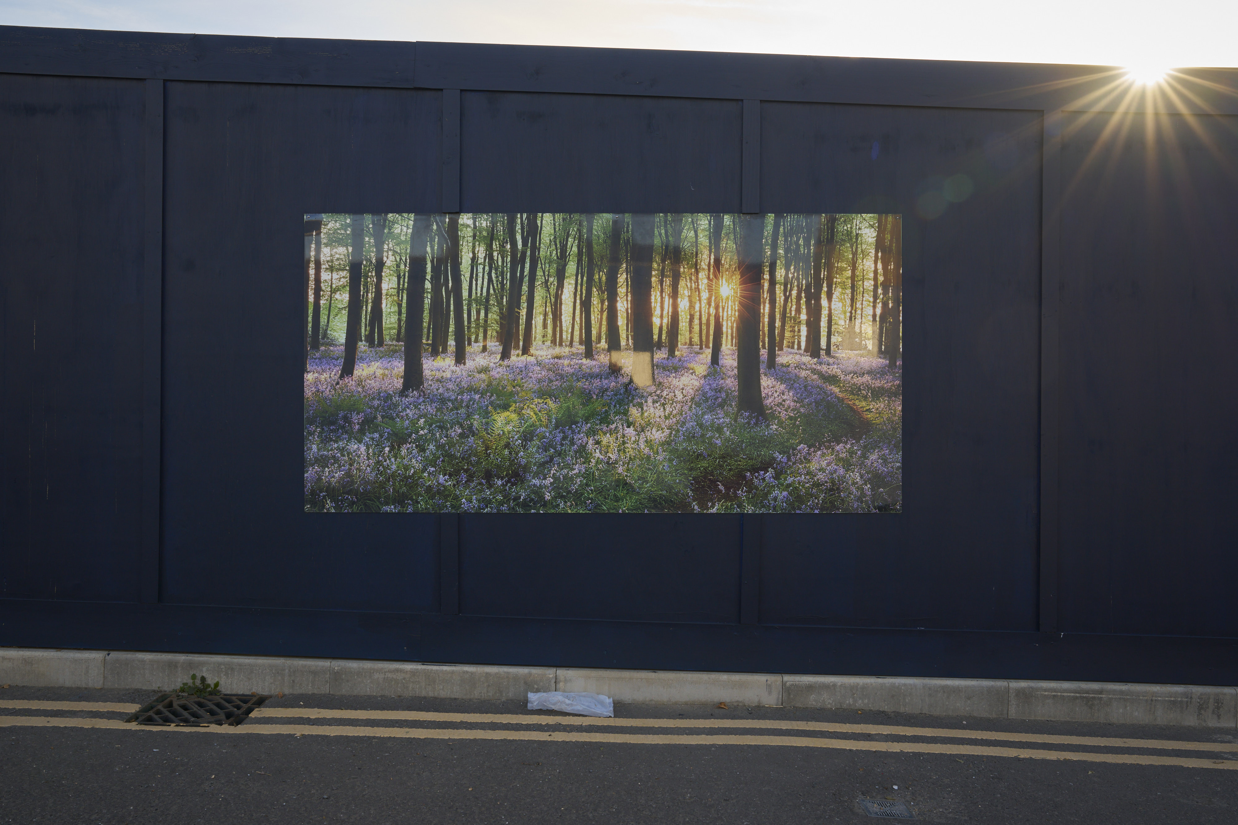 Among Red & Amber & Green