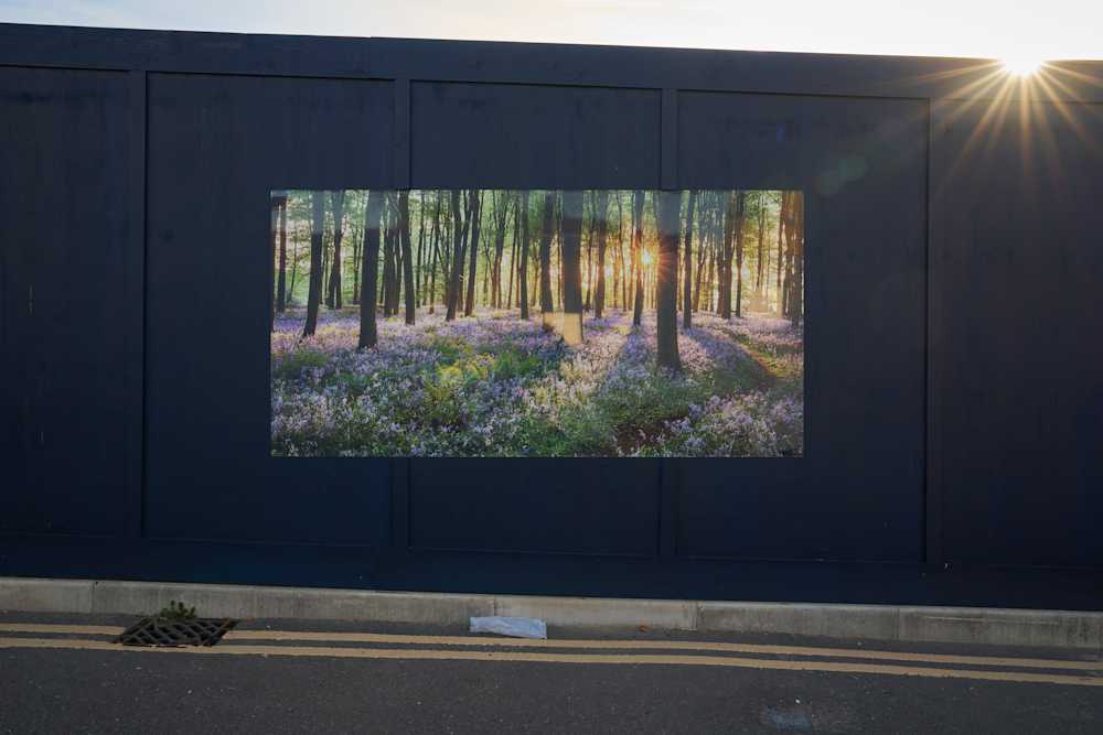 Among Red & Amber & Green