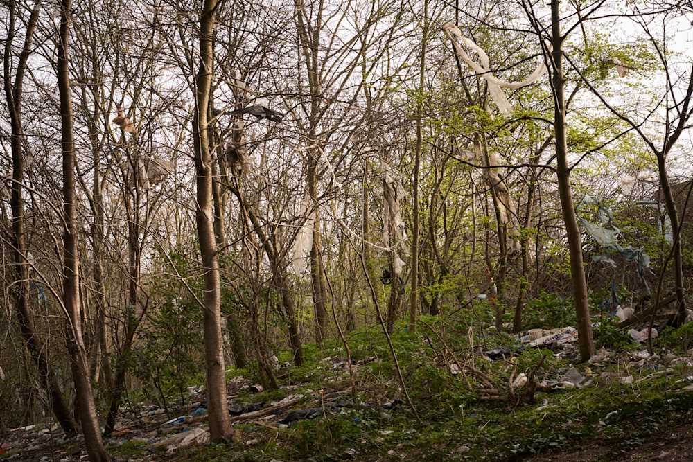 Among Red & Amber & Green