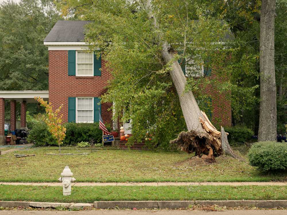 Talking to strangers