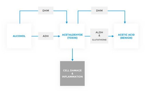 DHM Diagram