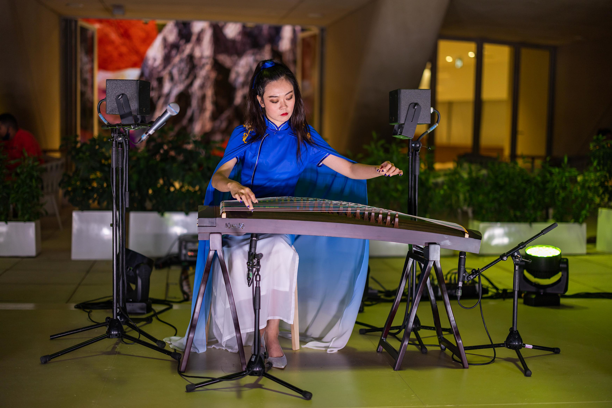 Strings and Beats at The Bowl m28543