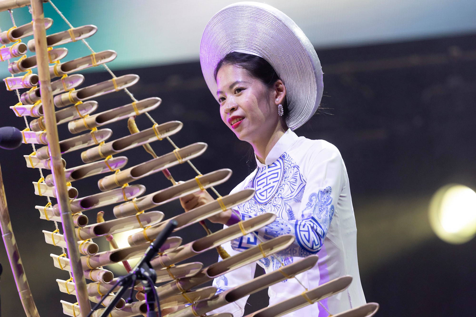 Vietnam Arts Show at Dubai Millennium Amphitheatre m68582