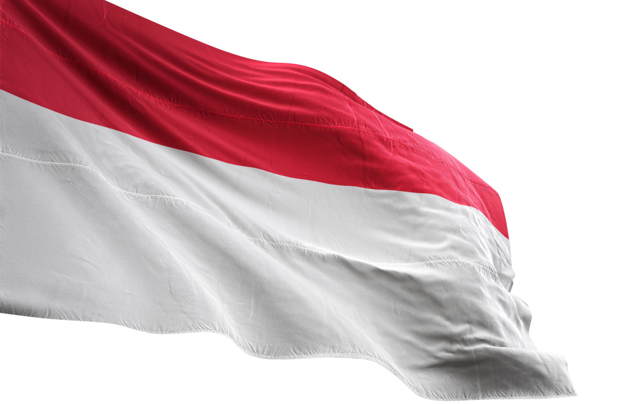 Indonesia flag 1