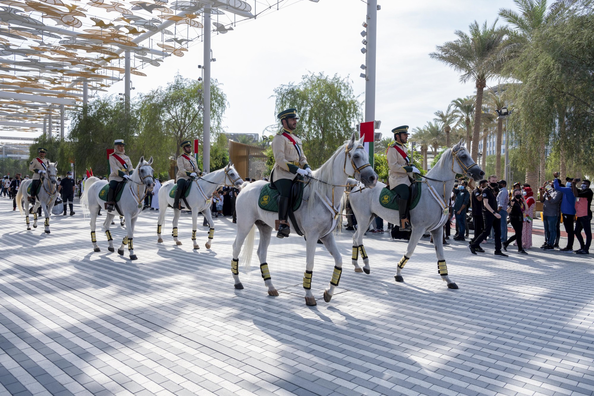 Colours of the World Parade during UAE National Day and the Golden Jubilee Celebrations m15735